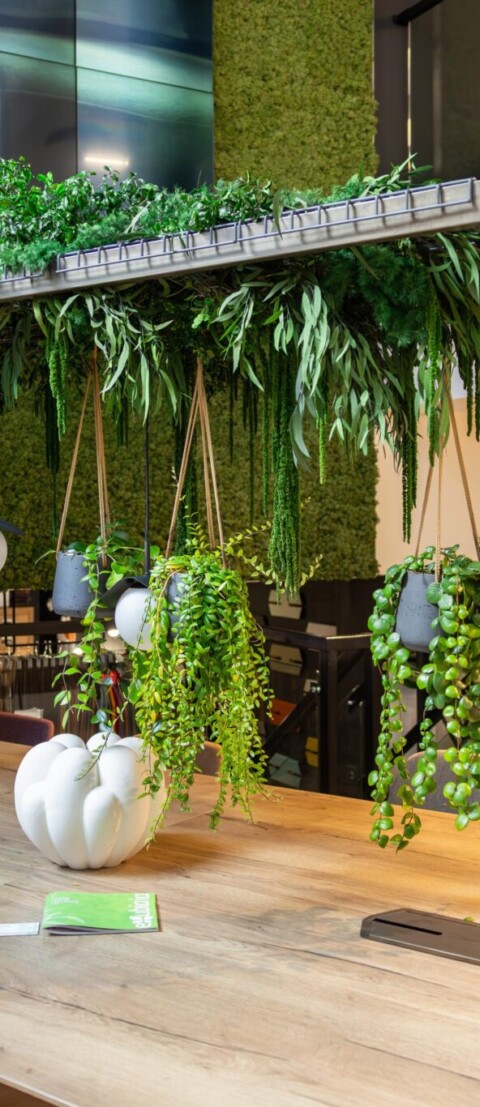 Contemporary workspace featuring a moss wall and suspended planting installation.