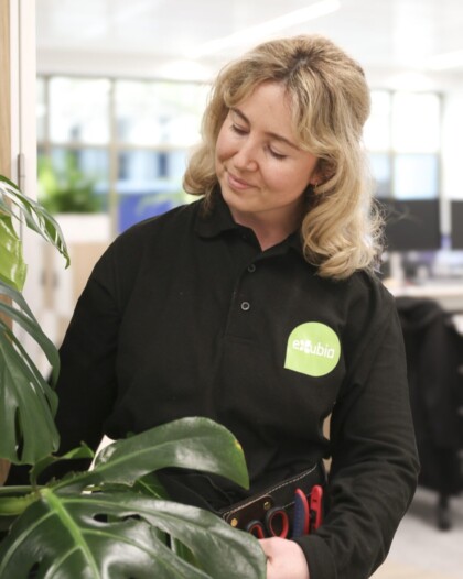 Female HortiCare technician tending to indoor planting on client site, carefully maintaining healthy green foliage within a contemporary commercial environment.