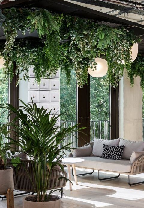Large modern office breakout area featuring extensive floor-standing planting and a prominent suspended planting feature.