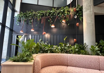 Contemporary office breakout area featuring integrated planter seating, extensive interior planting, and cascading overhead greenery.