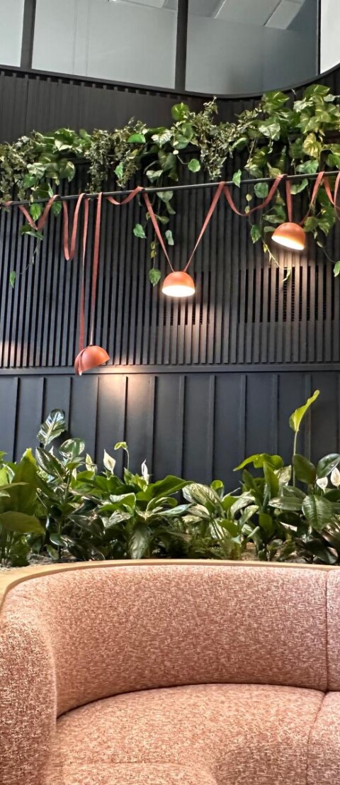Contemporary office breakout area featuring integrated planter seating, extensive interior planting, and cascading overhead greenery.