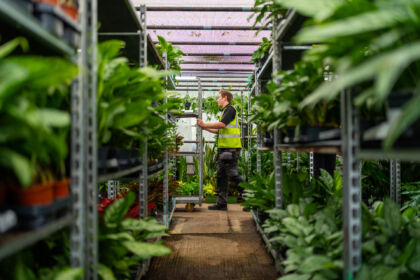 Office plants grown sustainably