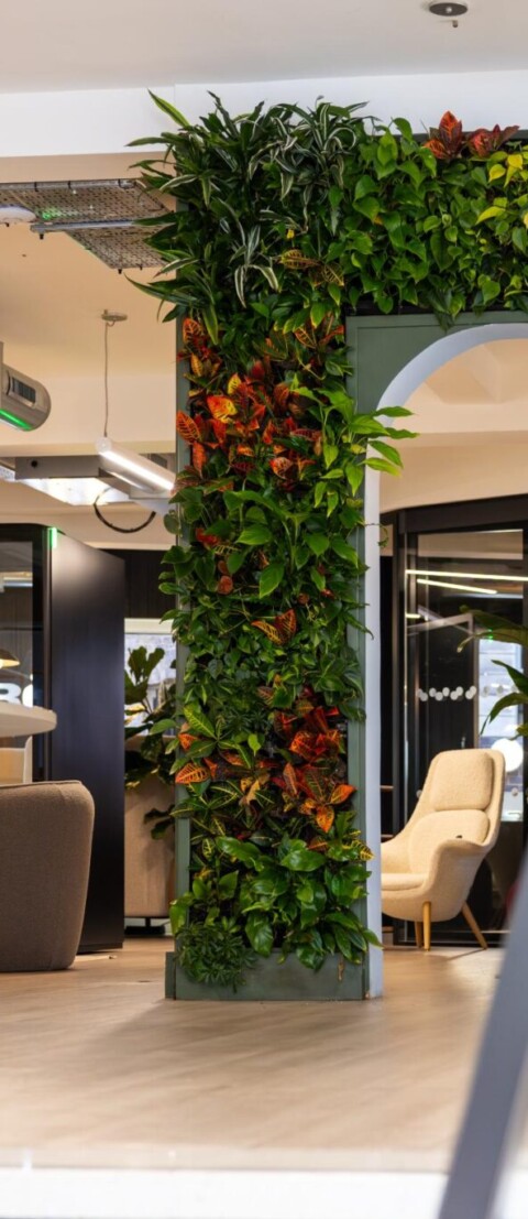 Lush living green wall surrounding a seating area with Frövi furniture at Exubia's London showroom.