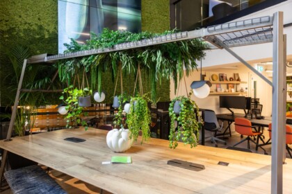 Hanging green plants suspended above a communal desk with a moss wall backdrop at Exubia's London showroom.