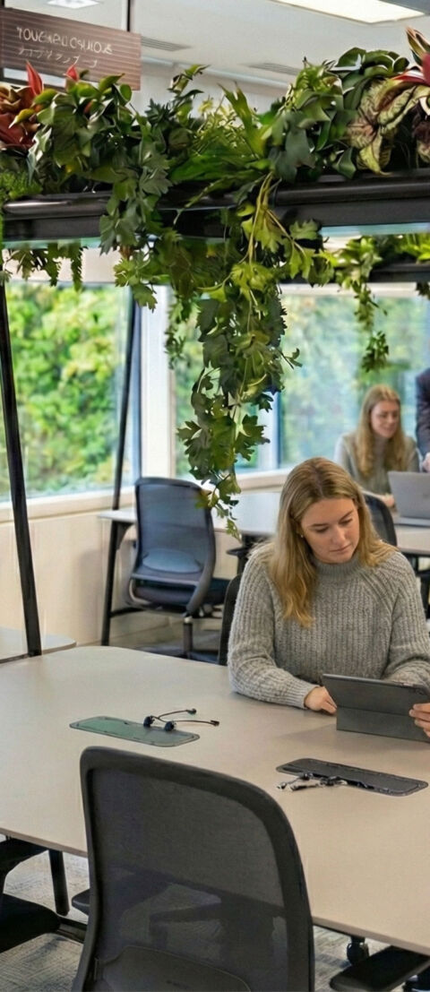 Office Planting