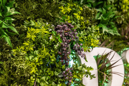 Extreme close-up of a preserved plant wall showcasing intricate texture, colour, and natural detail.