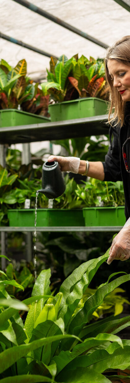 Exubia Plant Nurturing