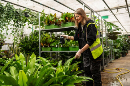 Exubia Plant Nurturing