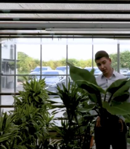 Plant Powerhouse