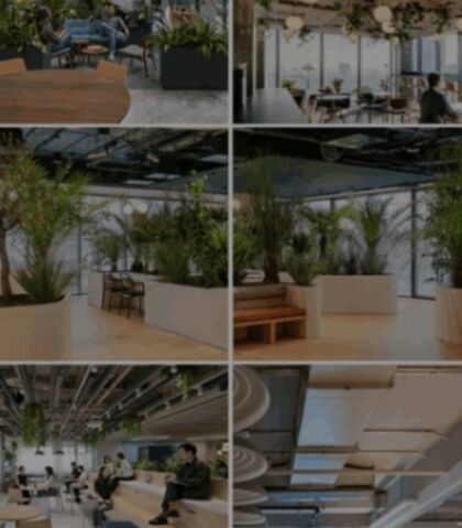 The Impact of Biophilia on the People