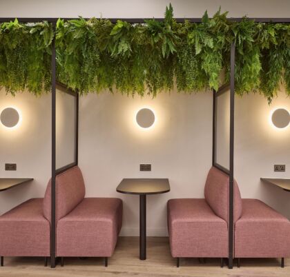 Planting in offices