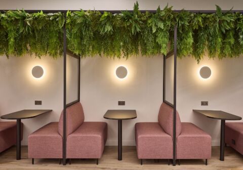 Planting in offices