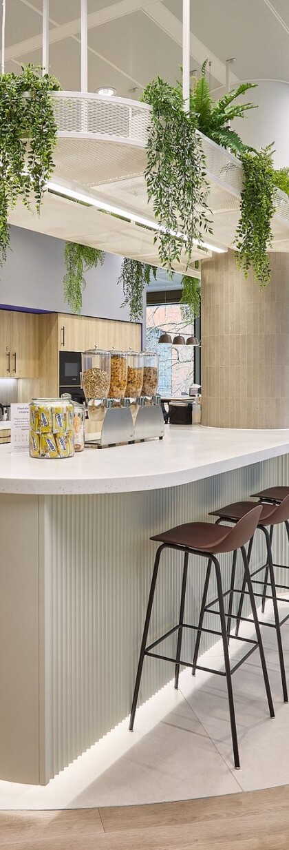 Large open-plan office kitchen area featuring suspended planting throughout the space.