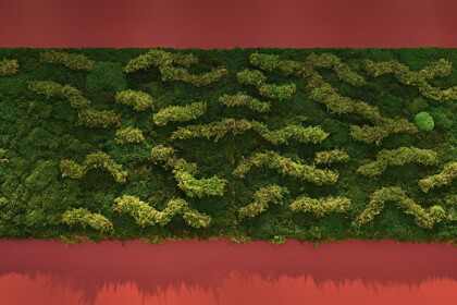 Close-up of a moss wall installation showing natural texture and detail.