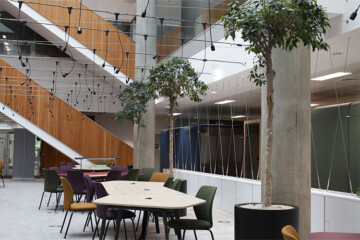 Higher Education, White City