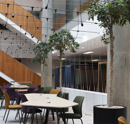 Higher Education, White City (7)