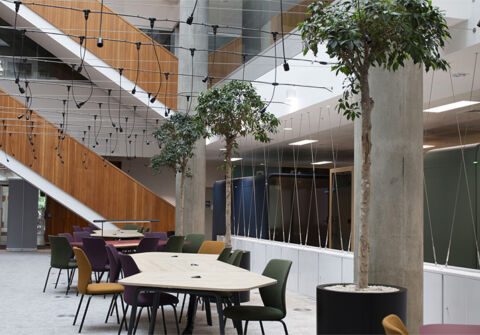 Higher Education, White City (7)