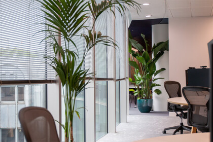 Medium shot of a contemporary office area featuring floor-standing plants throughout the space.