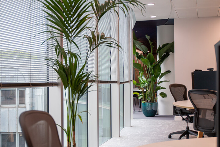 International Law Firm, The Barbican (12)