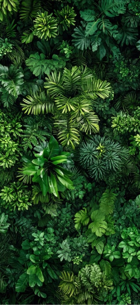 4 E 2 F 11 D 595 C 4 Ec 1 E 982 Db 20 E 63 B 09 A 4428 D 1 C 845 Min Min