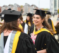 0 C 2 Ee 0428234 A 1 Aae 10 F 11 Cb 85 Cbdc 8 E 80 E 95029